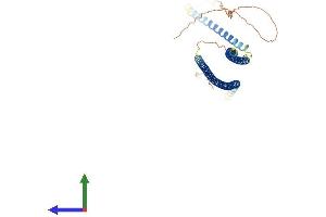 AlphaFold protein structure predicition of Mouse Recombinant Krt13 Protein, UniprotID P08730 (Cytokeratin 13 Protein (AA 1-437) (His tag))