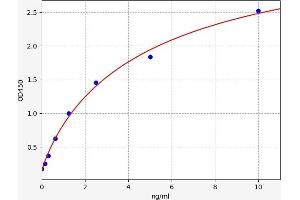 Pkc beta 1 ELISA Kit