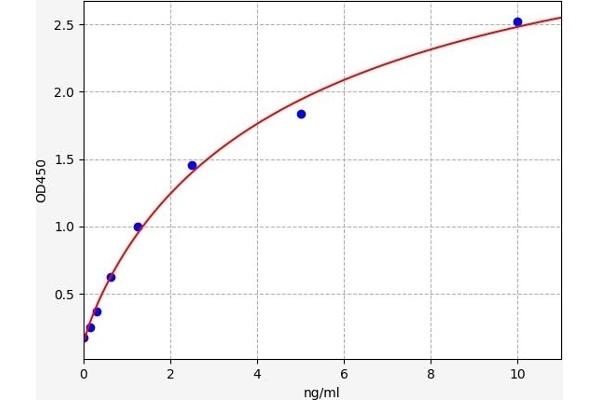 Pkc beta 1 ELISA Kit