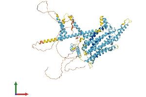 AlphaFold protein structure predicition of Mouse Recombinant Tmc2 Protein, UniprotID Q8R4P4 (Tmc2 Protein (AA 1-888) (His tag))