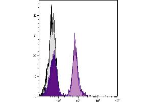 BALB/c mouse splenocytes were stained with Mouse Anti-Mouse CD19-UNLB. (Rat anti-Mouse IgA Antibody (PE))