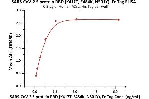 Immobilized Human ACE2, His Tag (ABIN6952618,ABIN6952641) at 2 μg/mL (100 μL/well) can bind SARS-CoV-2 S protein RBD (K417T, E484K, N501Y), Fc Tag (ABIN6992401) with a linear range of 0.