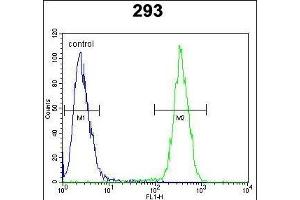 CLPX Antibody (C-term) (ABIN654723 and ABIN2844412) flow cytometric analysis of 293 cells (right histogram) compared to a negative control cell (left histogram). (CLPX antibody  (C-Term))