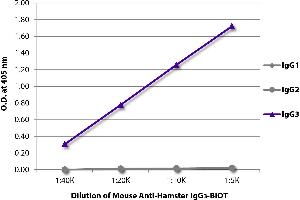ELISA plate was coated with purified hamster IgG1, IgG2, and IgG3. (Mouse anti-Hamster IgG3 Antibody)