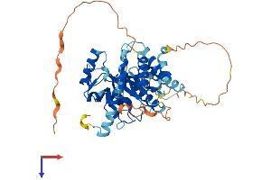 AlphaFold protein structure predicition of Human Recombinant UBE2Q1 Protein, UniprotID Q7Z7E8 (UBE2Q1 Protein (AA 1-422) (His tag))