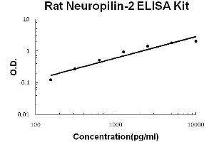 Rat Neuropilin-2 PicoKine ELISA Kit standard curve (NRP2 ELISA Kit)