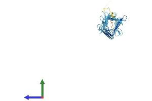Protein Structure (PS) image for Sarcoglycan, gamma (35kDa Dystrophin-Associated Glycoprotein) (SGCG) (AA 1-291) protein (His tag) (ABIN7556750)