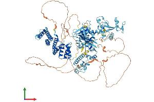 AlphaFold protein structure predicition of Human Recombinant ZC3H7A Protein, UniprotID Q8IWR0 (ZC3H7A Protein (AA 1-971) (His tag))