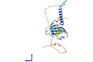 AlphaFold protein structure predicition of Human Recombinant MED6 Protein, UniprotID O75586 (MED6 Protein (AA 1-246) (His tag))