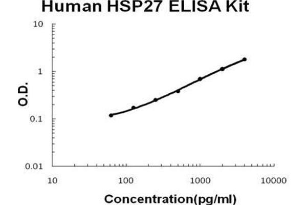HSP27 ELISA 试剂盒