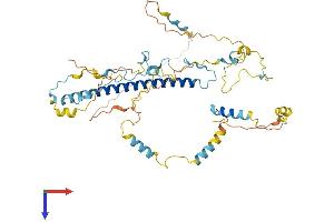 AlphaFold protein structure predicition of Human Recombinant WASH3P Protein, UniprotID C4AMC7 (WASH3P Protein (AA 1-463) (His tag))