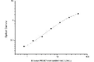 PKM ELISA Kit