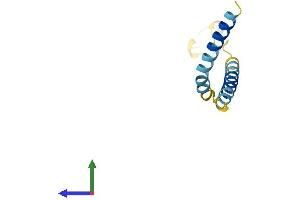 AlphaFold protein structure predicition of Mouse Recombinant Hrk Protein, UniprotID P62816 (HRK Protein (AA 1-92) (His tag))