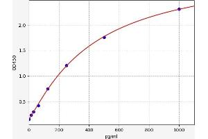 CALCB ELISA Kit