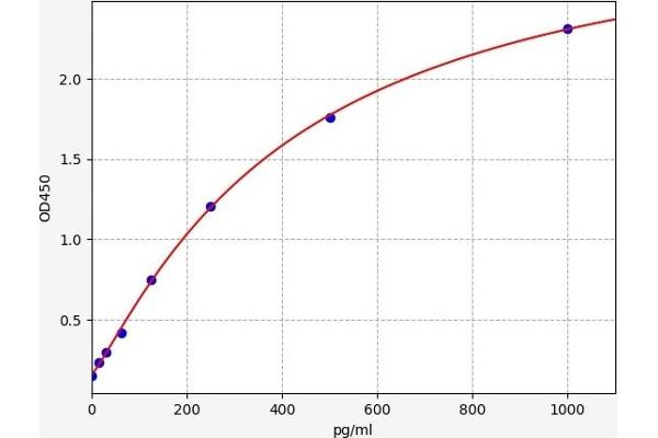 CALCB ELISA Kit