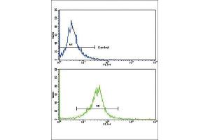 Flow Cytometry (FACS) image for anti-Calcium Channel, Voltage-Dependent, gamma Subunit 5 (CACNG5) antibody (ABIN3002719) (CACNG5 antibody)