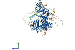 AlphaFold protein structure predicition of Human Recombinant WDR59 Protein, UniprotID Q6PJI9 (WDR59 Protein (AA 1-974) (His tag))