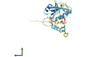 AlphaFold protein structure predicition of Human Recombinant SOCS3 Protein, UniprotID O14543 (SOCS3 Protein (AA 1-225) (His tag))
