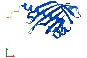 AlphaFold protein structure predicition of Mouse Recombinant Nxt2 Protein, UniprotID Q3UNA4