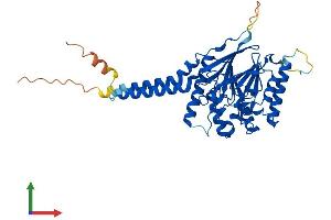 Protein Structure (PS) image for Metallophosphoesterase 1 (MPPE1) (AA 1-396) protein (His tag) (ABIN7549457)