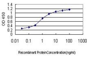 Detection limit for recombinant GST tagged EFNA5 is approximately 0. (Ephrin A5 antibody  (AA 114-203))