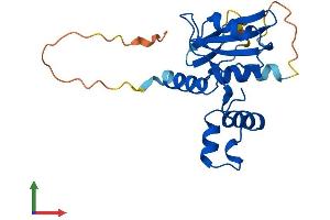 AlphaFold protein structure predicition of Human Recombinant SOCS2 Protein, UniprotID O14508