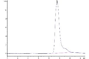 The purity of Mouse Fc gamma RIIB/CD32b is greater than 95 % as determined by SEC-HPLC. (FCGR2B Protein (AA 40-217) (His tag))