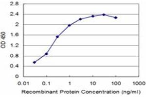 Detection limit for recombinant GST tagged TAL2 is approximately 0. (TAL2 antibody  (AA 29-109))