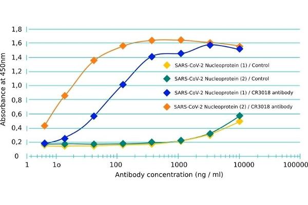 Recombinant SARS-CoV-2 Nucleocapsid antibody
