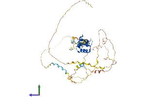 Protein Structure (PS) image for Forkhead Box B2 (FOXB2) (AA 1-432) protein (His tag) (ABIN7547827)