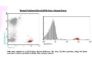 Image no. 1 for anti-CD19 Molecule (CD19) antibody (PE) (ABIN1112077) (CD19 antibody  (PE))