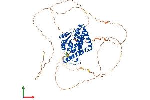 Protein Structure (PS) image for Eyes Absent Homolog 1 (EYA1) (AA 1-592) protein (His tag) (ABIN7553827)