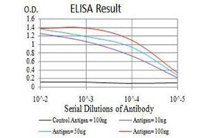 Black line: Control Antigen (100 ng),Purple line: Antigen (10 ng), Blue line: Antigen (50 ng), Red line:Antigen (100 ng) (ATG2A antibody  (AA 325-429))