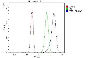 Flow Cytometry analysis of U20S cells using anti-FEZF1 antibody (ABIN7601763). (FEZF1 antibody  (AA 45-258))