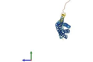 AlphaFold protein structure predicition of Mouse Recombinant Ms4a6c Protein, UniprotID Q99N08 (Ms4a6c Protein (AA 1-217) (His tag))