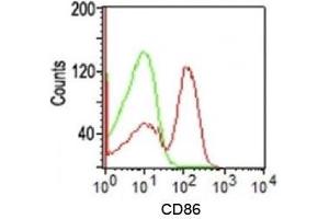 Flow cytometry testing of human PBMC using CD86 antibody (C86/1146). (CD86 antibody)