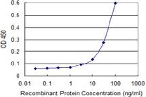 Detection limit for recombinant GST tagged TOP3B is 3 ng/ml as a capture antibody. (TOP3B antibody  (AA 1-862))