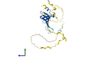 Protein Structure (PS) image for Small Nuclear Ribonucleoprotein Polypeptide N (SNRPN) (AA 1-240) protein (His tag) (ABIN7551600)