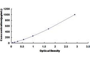Typical standard curve (VEGF121 ELISA Kit)