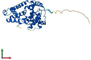 AlphaFold protein structure predicition of Mouse Recombinant Ccnc Protein, UniprotID Q62447 (Cyclin C Protein (CCNC) (AA 1-283) (His tag))