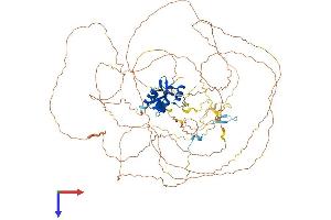 AlphaFold protein structure predicition of Mouse Recombinant Skida1 Protein, UniprotID Q80YR3 (SKIDA1 Protein (AA 1-822) (His tag))