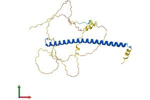 AlphaFold protein structure predicition of Mouse Recombinant Cebpe Protein, UniprotID Q6PZD9