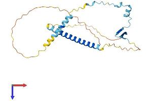 AlphaFold protein structure predicition of Mouse Recombinant Cby3 Protein, UniprotID Q9CVN6 (CBY3 Protein (AA 1-235) (His tag))