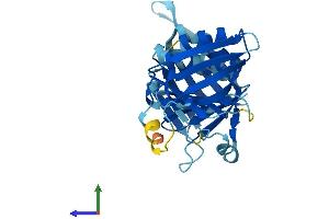 AlphaFold protein structure predicition of Mouse Recombinant Hus1b Protein, UniprotID Q8K572