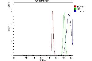 anti-Chymotrypsin (CTRL) (AA 34-264) antibody