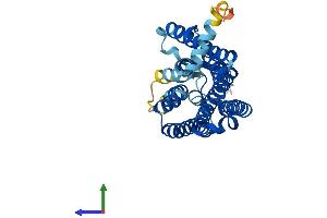 AlphaFold protein structure predicition of Human Recombinant OR10H1 Protein, UniprotID Q9Y4A9