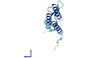 AlphaFold protein structure predicition of Mouse Recombinant Lyrm7 Protein, UniprotID Q9DA03