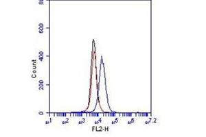Flow Cytometry (FACS) image for anti-Cadherin 5 (CDH5) (Extracellular Domain) antibody (ABIN1105883) (Cadherin 5 antibody  (Extracellular Domain))