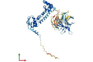 AlphaFold protein structure predicition of Human Recombinant KBTBD4 Protein, UniprotID Q9NVX7 (KBTBD4 Protein (AA 1-518) (His tag))