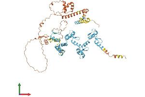 Protein Structure (PS) image for Zinc Finger Protein 285A (ZNF285A) (AA 1-590) protein (His tag) (ABIN7545456)